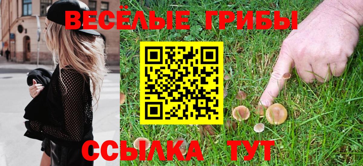Керчь  Галлюциногенные грибы Psilocybine cubensis  Галлюциногенные грибы прущие грибы  Вход с VPN 
