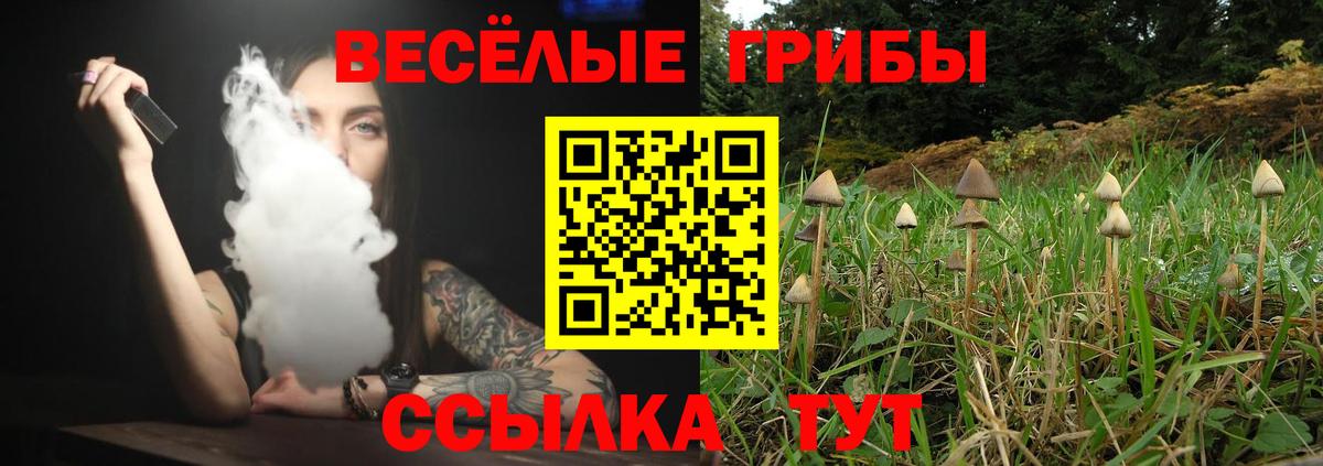 Галлюциногенные грибы GOLDEN TEACHER Керчь